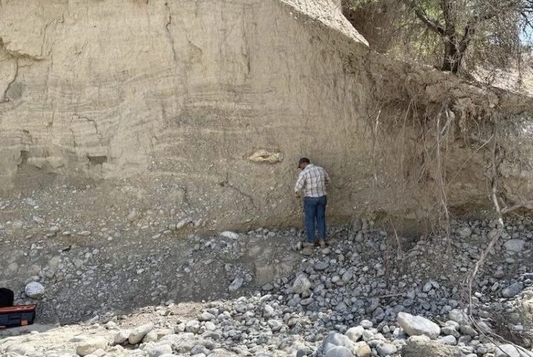 Recupera INAH restos óseos de megafauna pleistocénica, en Tula