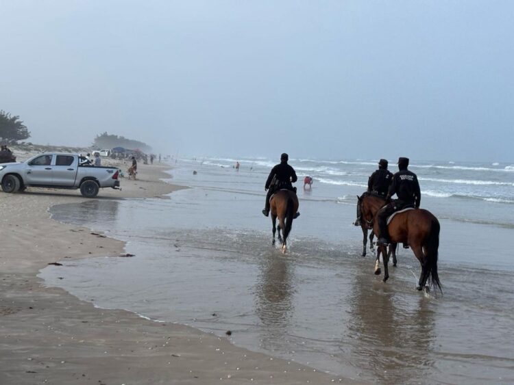 Agrupamiento Montado de la Guardia Estatal brinda seguridad en La Pesca