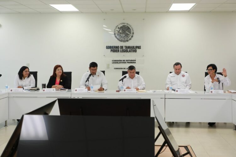 Aprueban Comisiones fortalecer la legítima defensa en casos de violencia de género