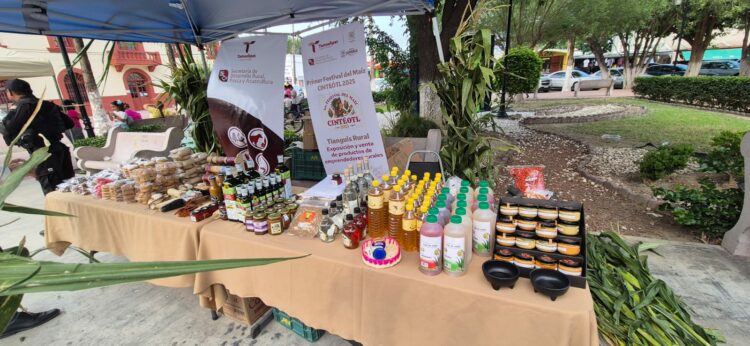 Disfrutan sabor, cultura y tradición en el Festival del Maíz Cinteotl 2025