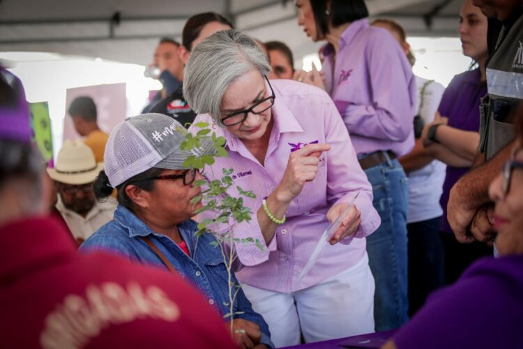 Lleva DIF Tamaulipas la Ruta del Apapacho a Palmillas