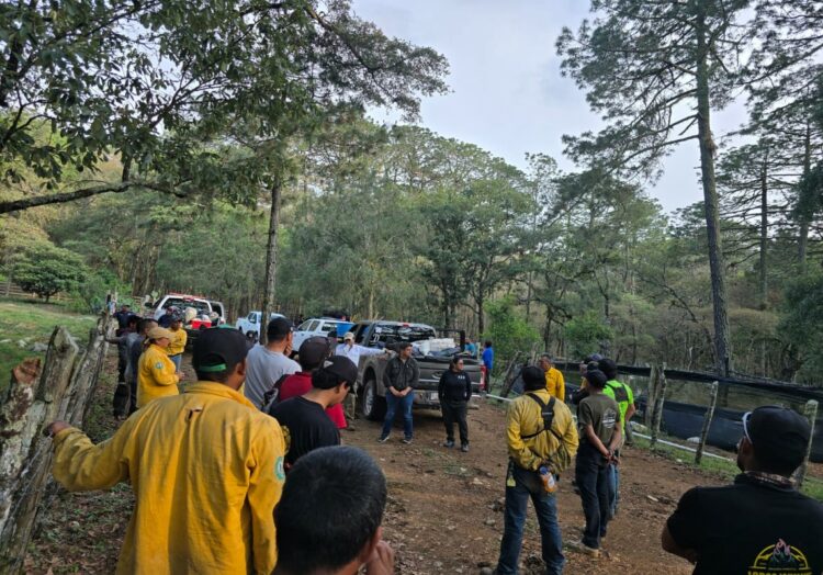 Coordinan acciones para el control del incendio forestal en Reserva de la Biosfera El Cielo
