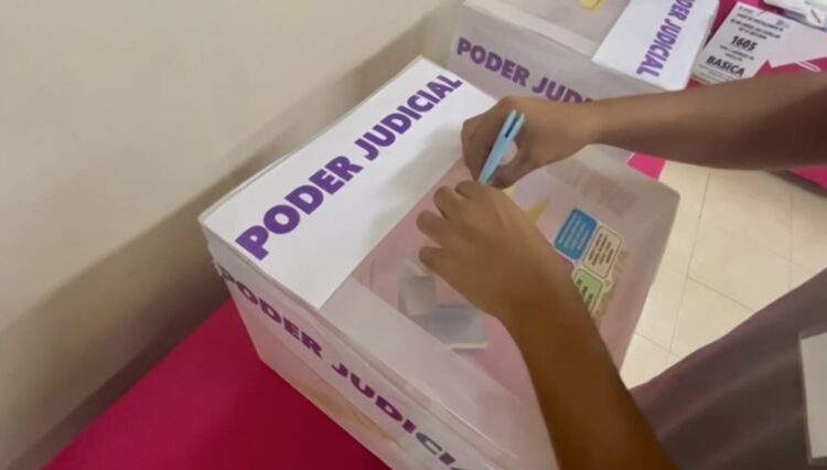 Elección Judicial 2025, cargos a votar