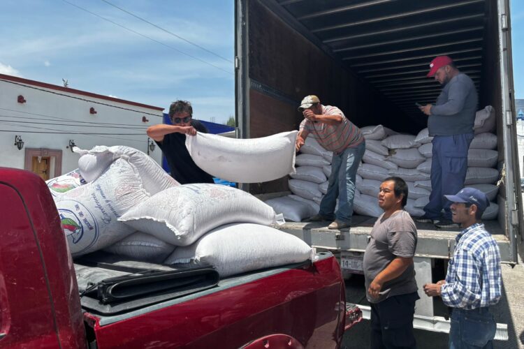 Fortalece Gobierno de Tamaulipas desarrollo agrícola en el altiplano con entrega de semilla de avena