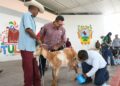 Fortalecen el sector caprino en Tula con muestra regional