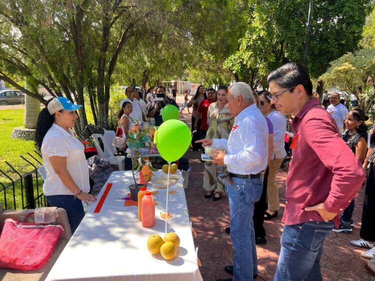 Inauguran “Mercadita de Mujeres Güemenses” para fomentar el emprendimiento femenino: IMT