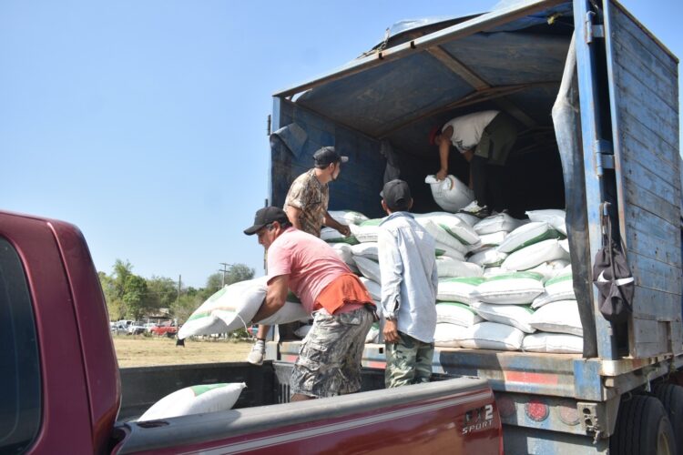 Abren ventanillas para el programa de fertilizante a citricultores