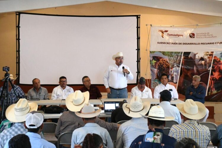 Promueven el uso del nopal como estrategia alimentaria sustentable