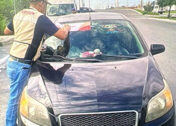 Supervisa Transporte Público a plataformas digitales en Reynosa