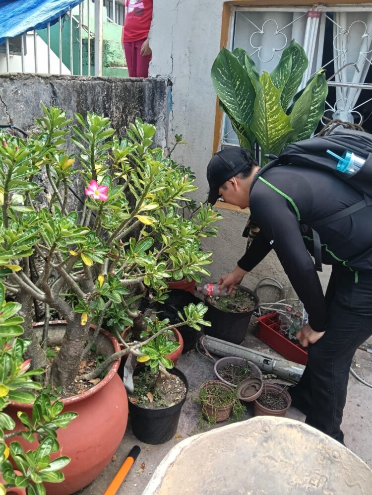 Trabaja SEBIEN en descacharrización en la zona sur