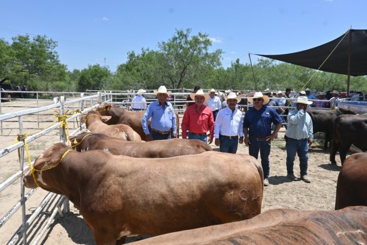 Llevan Programa de Mejoramiento Genético al municipio de Méndez