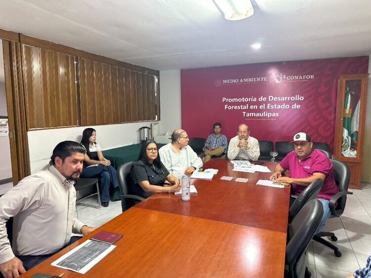 Presentan avances del programa operativo 2025 en reunión de sanidad forestal