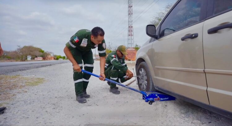 Al 078 o por aplicación, los Ángeles Verdes te auxilian