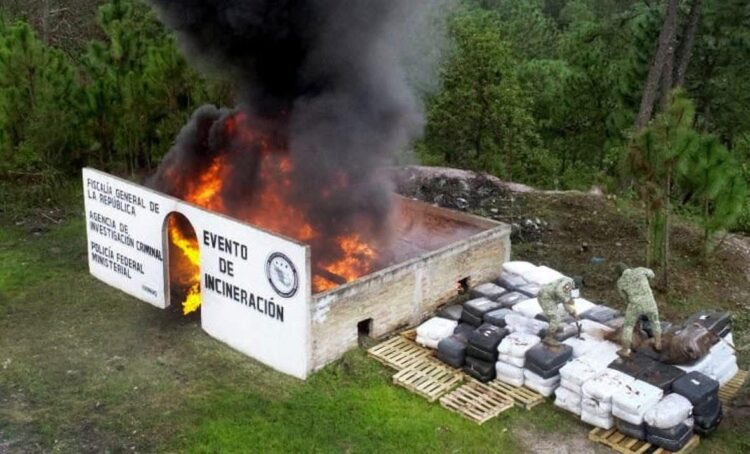 Destruyen más de una tonelada de coca