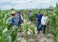 Impulsan productividad y sostenibilidad del sector agropecuario tamaulipeco