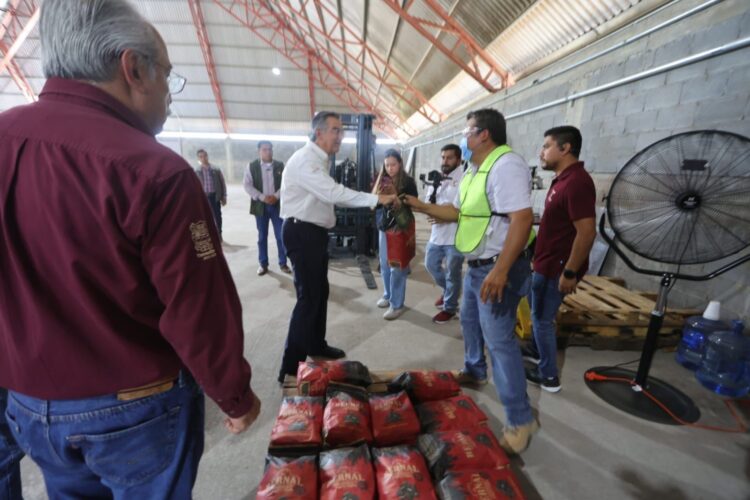 Iniciará operaciones empacadora de carbón vegetal “El Bernal”
