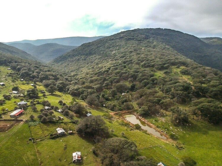 Nace Cooperativa Ecoturismo Puerto Paraíso en Ciudad Victoria con el impulso del Gobierno de Tamaulipas