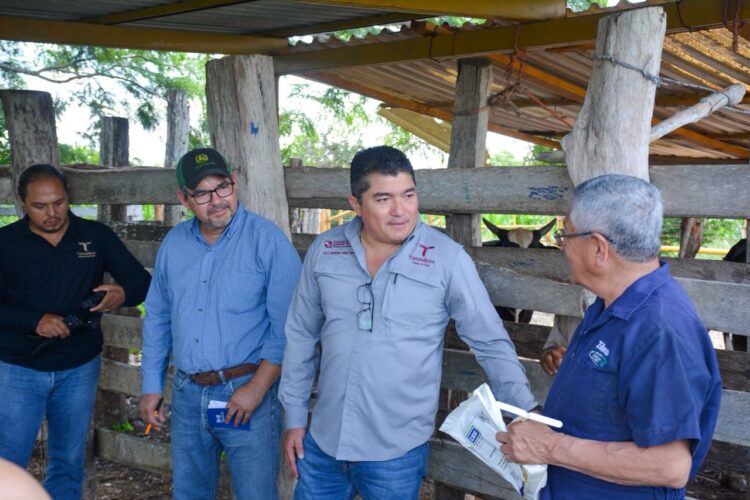 Inicia proyecto de mejoramiento genético con tecnología in vitro en Aldama y Altamira
