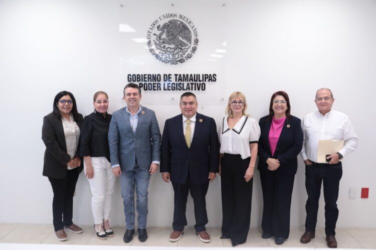 Diputación Permanente quinta renuncia judicial