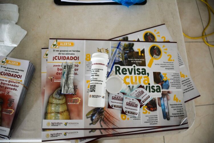 Productores tamaulipecos se suman a la prevención del gusano barrenador