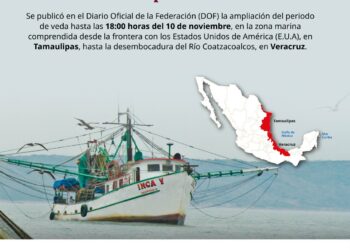 Se publicó en el Diario Oficlal de la Federación la ampliación del período de veda de todas las especies de camarón desde Tamaulipas hasta Veracruz.