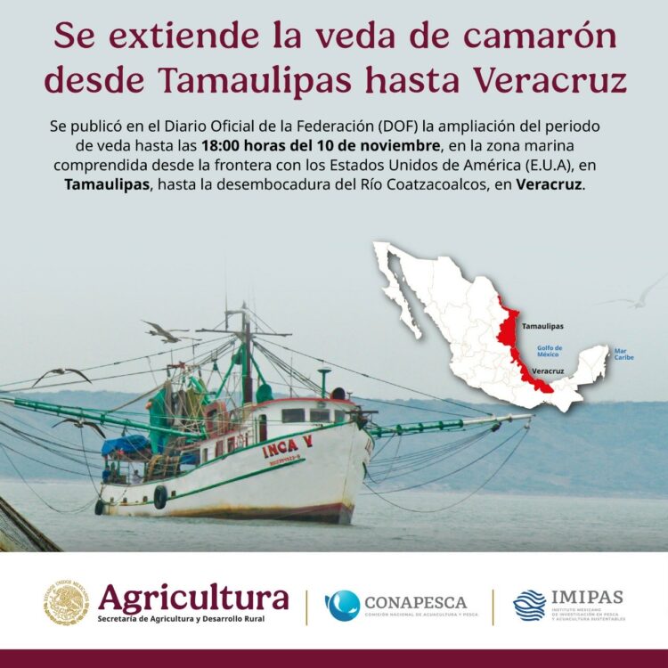 Se publicó en el Diario Oficlal de la Federación la ampliación del período de veda de todas las especies de camarón desde Tamaulipas hasta Veracruz.