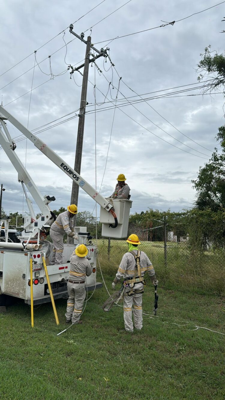 Restablece CFE 44% del servicio en Tamaulipas y Veracruz