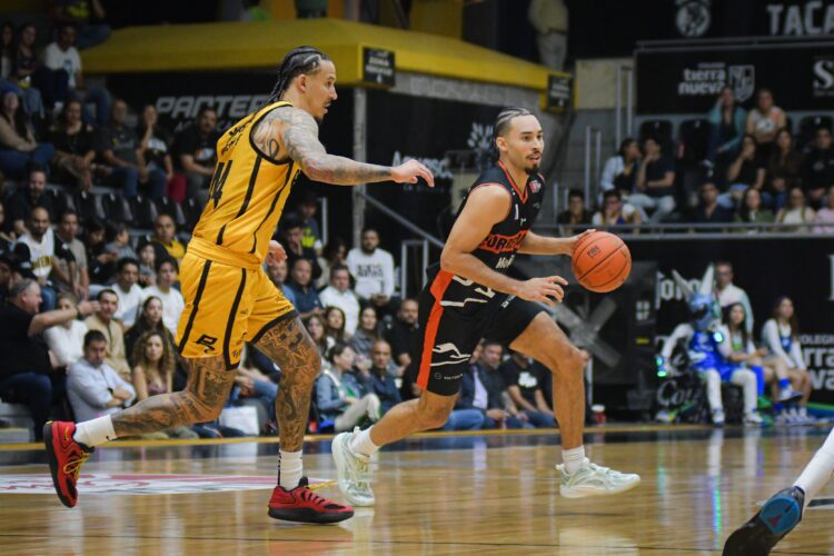 Correcaminos hace sufrir a Panteras Negras