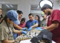 Destaca Zoológico Tamatán como papel clave de la medicina veterinaria en ambientes controlados