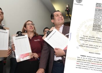 Borrador automático