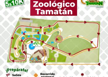 Todo listo para la competencia, “Corre por la fauna”: CPBT