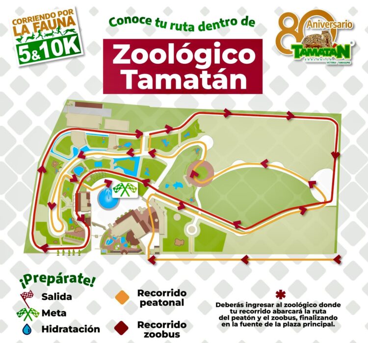 Todo listo para la competencia, “Corre por la fauna”: CPBT