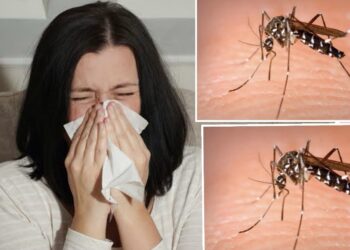 Registra Tamaulipas 14 fallecidos por enfermedades respiratorias y vectoriales