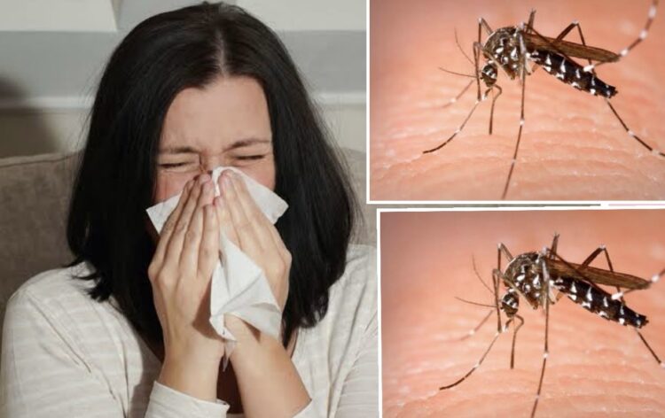 Registra Tamaulipas 14 fallecidos por enfermedades respiratorias y vectoriales