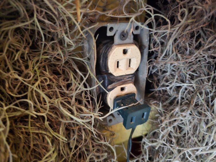 Emite SST recomendaciones preventivas para evitar accidentes