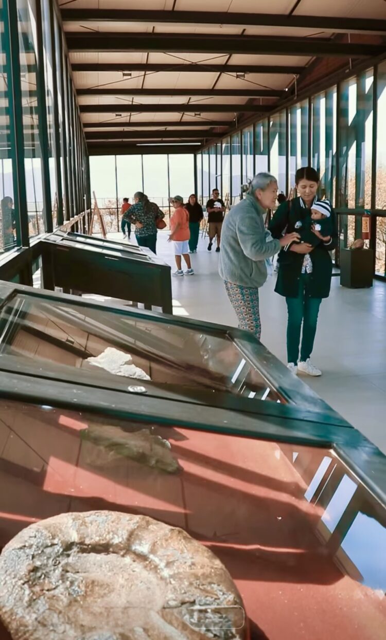 Invitan a conocer Camino Real a Tula, una belleza natural