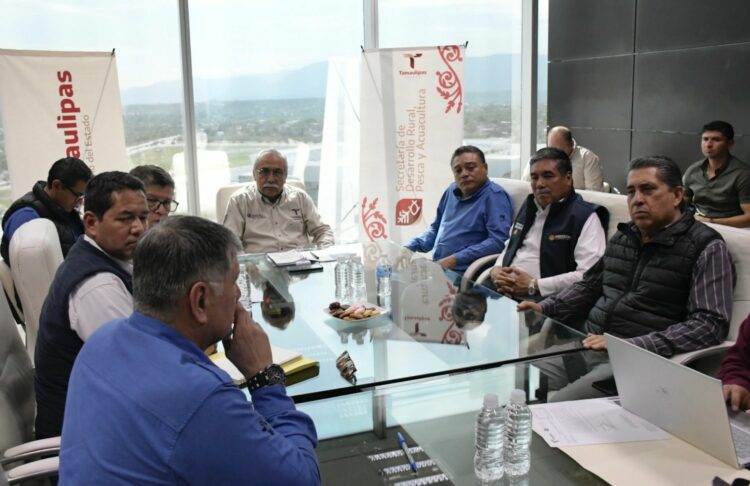 Activan en Tamaulipas plan de acción integral para proteger la sanidad pecuaria