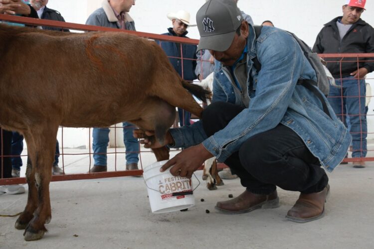 Caprinocultura y valor agregado, ejes del Festival del Cabrito 2026