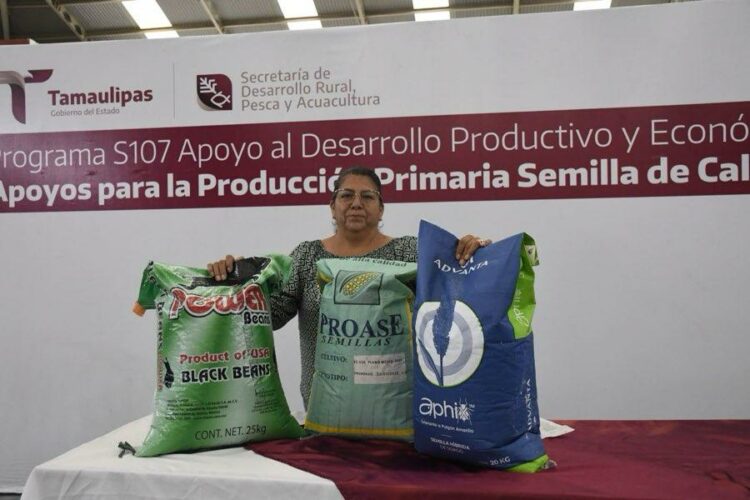 Productores podrán acceder a apoyos de semilla para cultivos estratégicos