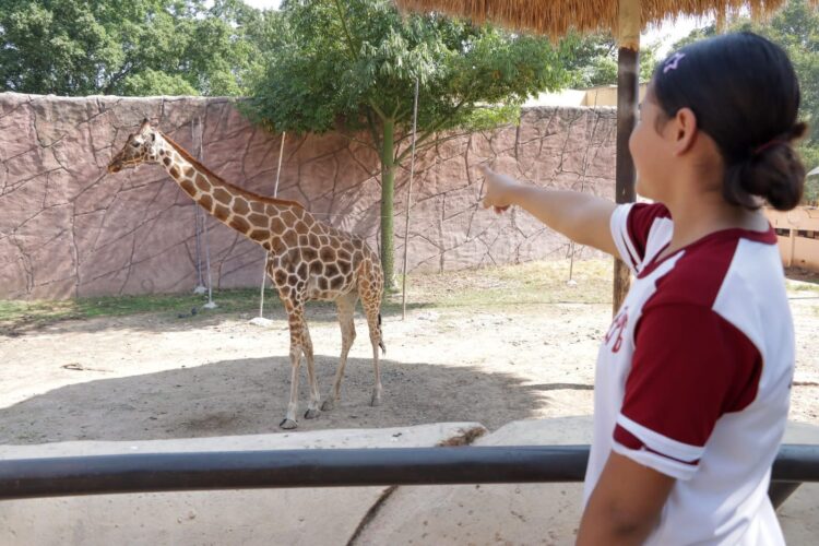 Ofrece Comisión de Parques Zoo Visitas