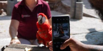 Ofrece Comisión de Parques Zoo Visitas