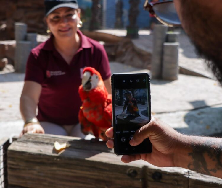 Ofrece Comisión de Parques Zoo Visitas
