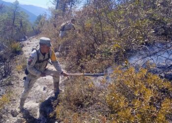 Avanza al 70 % el control del incendio forestal “Puerto del Volcán” en Miquihuana
