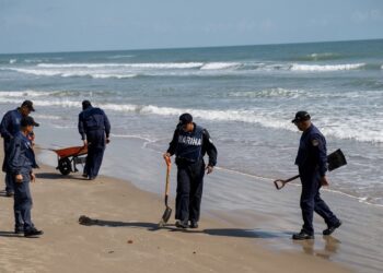 Un buque y dos chapopoteras, la causa de hidrocarburos en Veracruz y Tabasco: GI