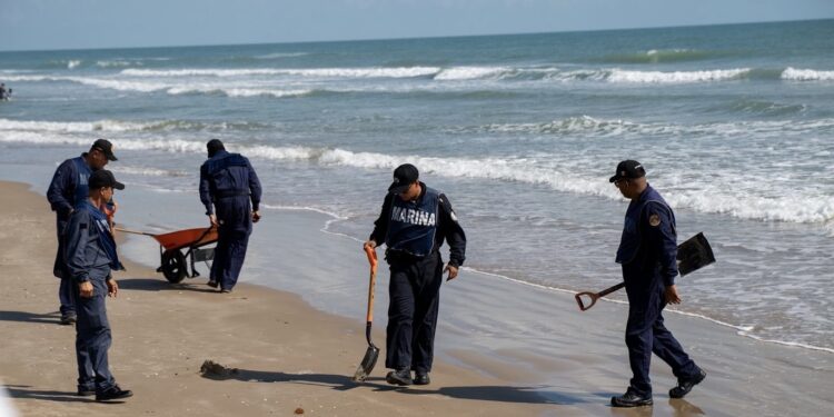Un buque y dos chapopoteras, la causa de hidrocarburos en Veracruz y Tabasco: GI
