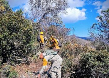 Controlado incendio forestal “Puerto del Volcán” en Miquihuana
