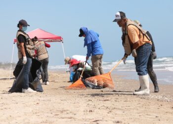 Presencia mínima de hidrocarburos en Tamaulipas, asegura Semarnat
