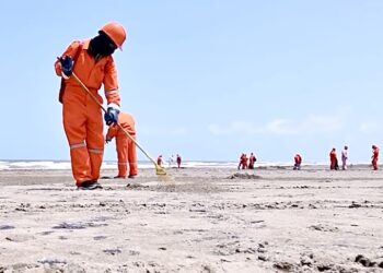 Refuerzan acciones ante presencia de hidrocarburos en el Golfo de México