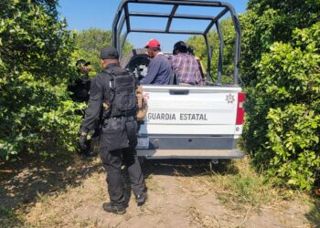 Guardia Estatal detiene a cinco hombres por presunto robo de cítricos en Nuevo Padilla