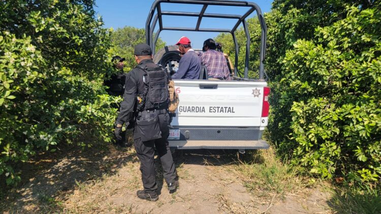 Guardia Estatal detiene a cinco hombres por presunto robo de cítricos en Nuevo Padilla